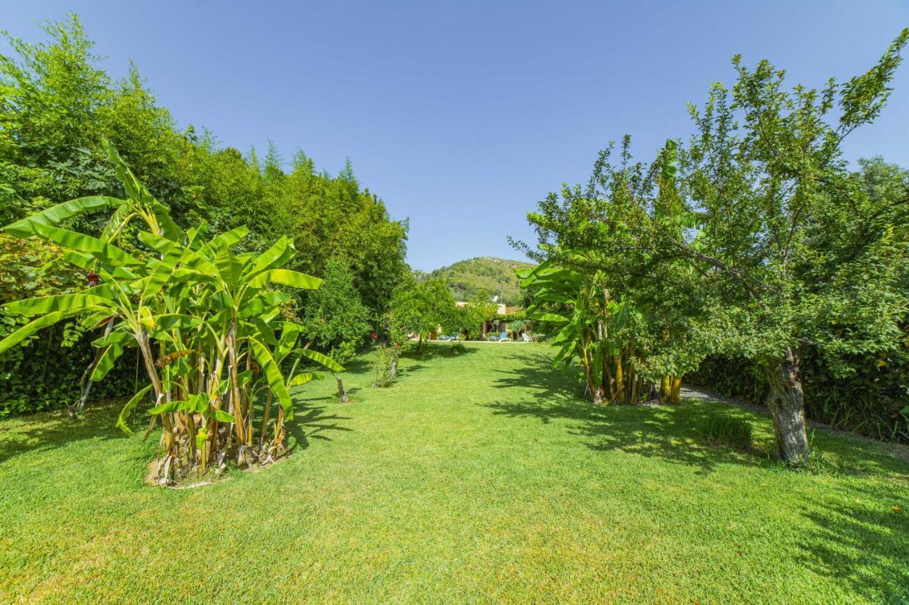 Villa Martin / Son Siurana Alcudia  Bagian luar foto